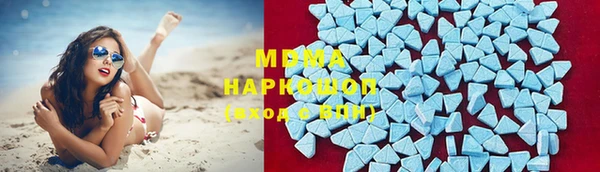 сатива Беломорск