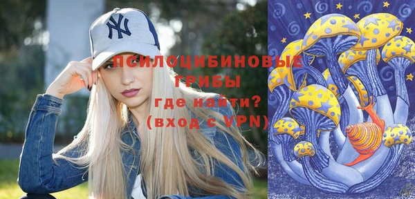 прущий лед Бородино
