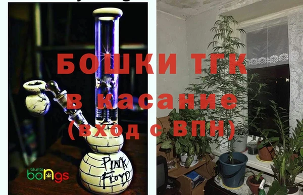 прущий лед Бородино