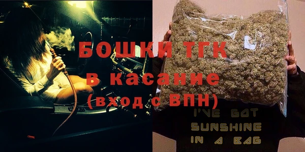 прущий лед Бородино