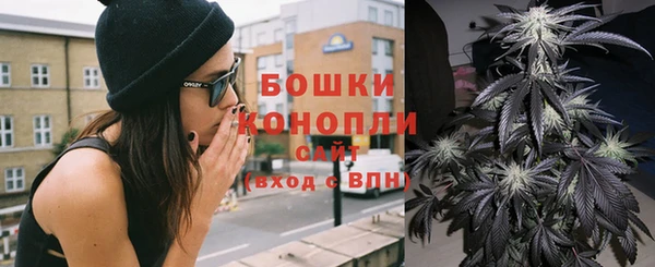 прущий лед Бородино